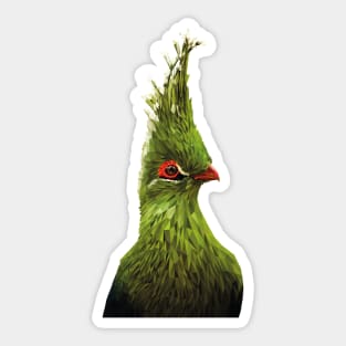 Schalow's turaco Sticker